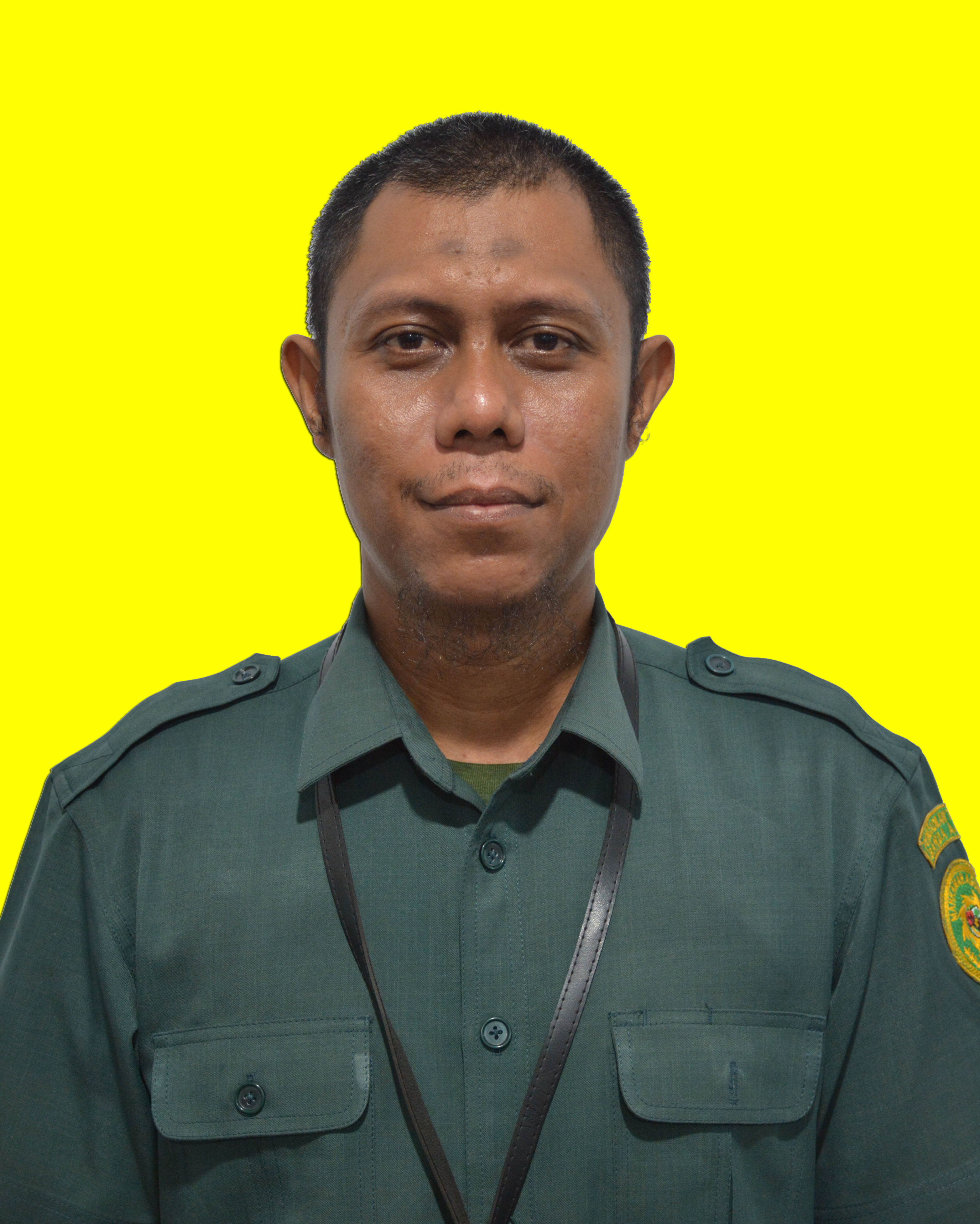 avt