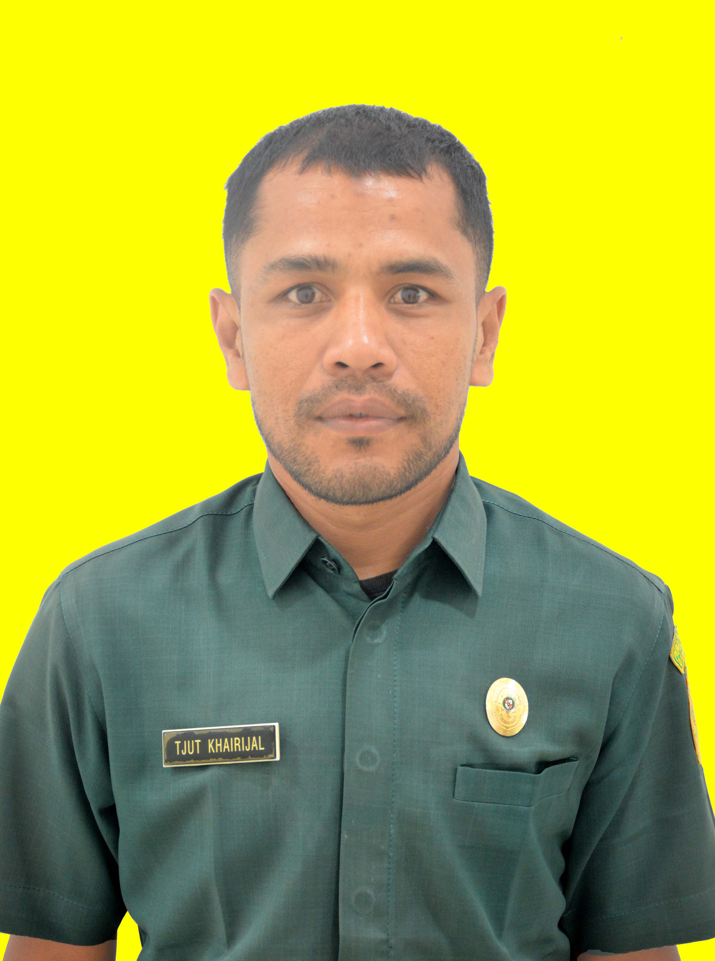 avt